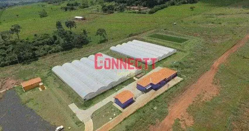 Fazenda à venda, 135000 m² por r$ 2.820.000,00 - zona rural - ribeirão preto/sp