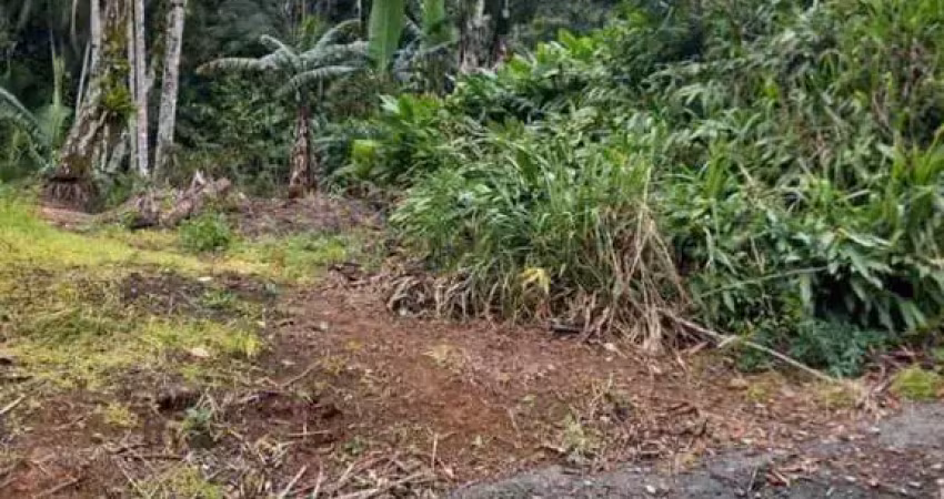 Chácara para venda em guaramirim / sc no bairro amizade