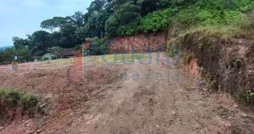 Terreno para venda em guaramirim / sc no bairro ilha da figueira