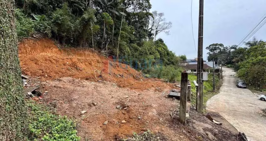 Terreno à venda no Ilha da Figueira, Jaraguá do Sul 