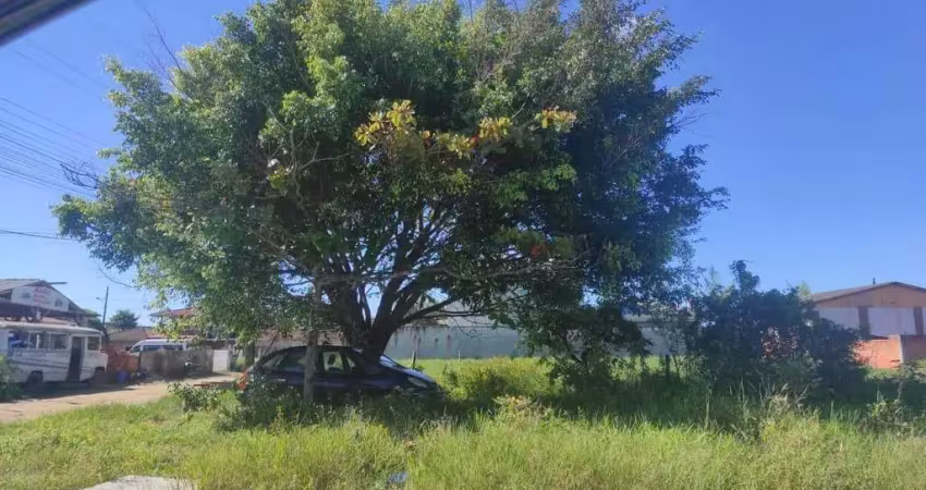 Terreno para venda em são francisco do sul / sc no bairro majorca