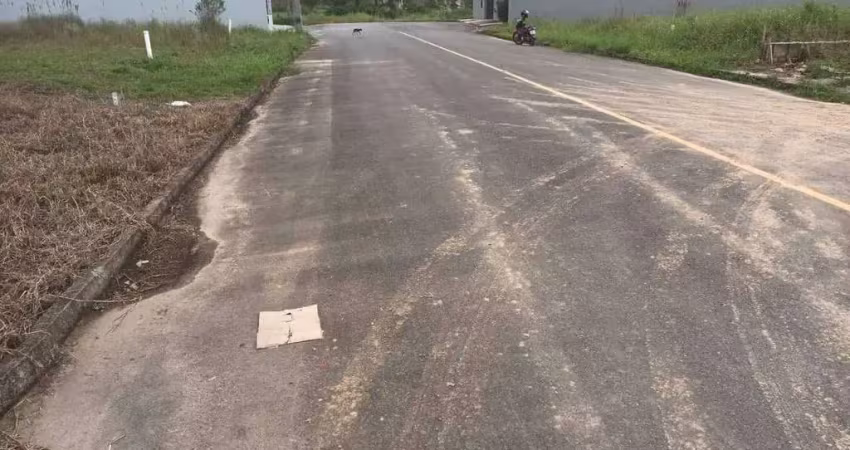 Terreno à venda na Rua Helfried Flemming, sn, Bananal do Sul, Guaramirim