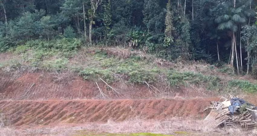 Terreno para venda em guaramirim / sc no bairro imigrantes