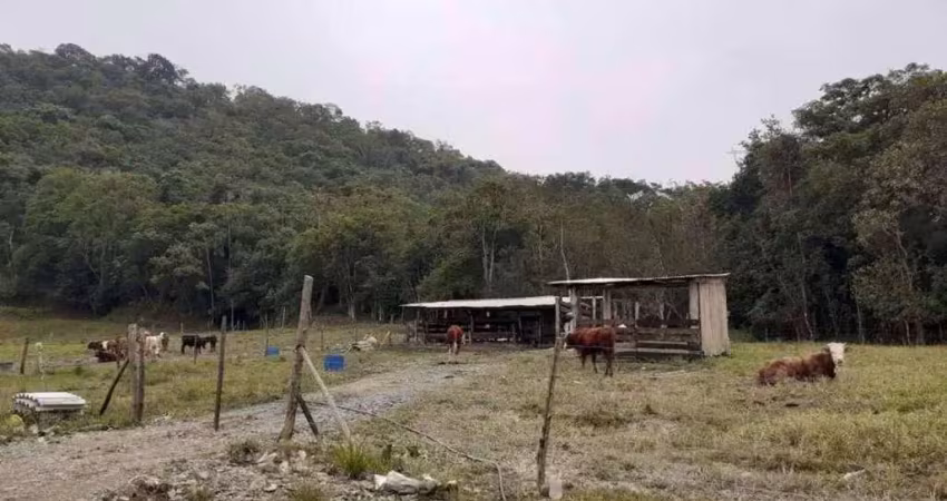 Terreno para venda em guaramirim / sc no bairro caixa d água