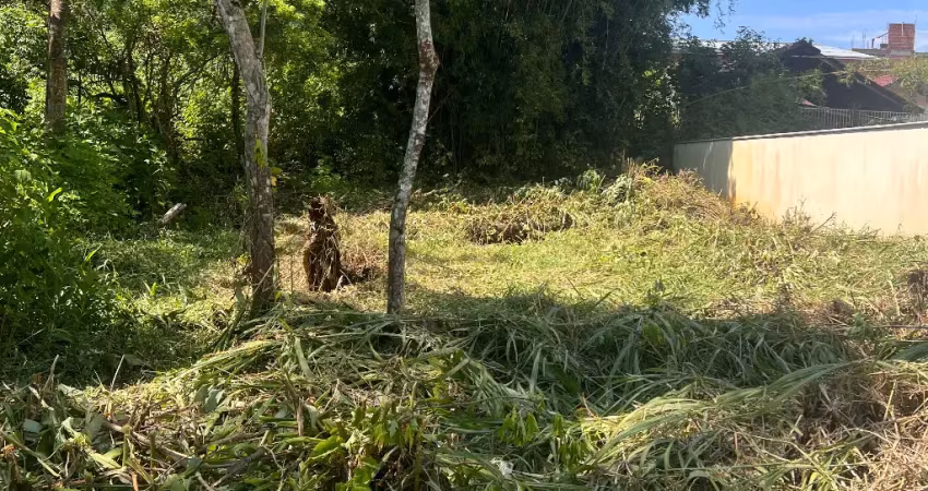 Terreno à venda na Rua José Araújo, 200, Praia do Estaleiro, Balneário Camboriú