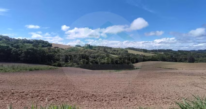 Chácara para Venda em Mandirituba, Campestrinho