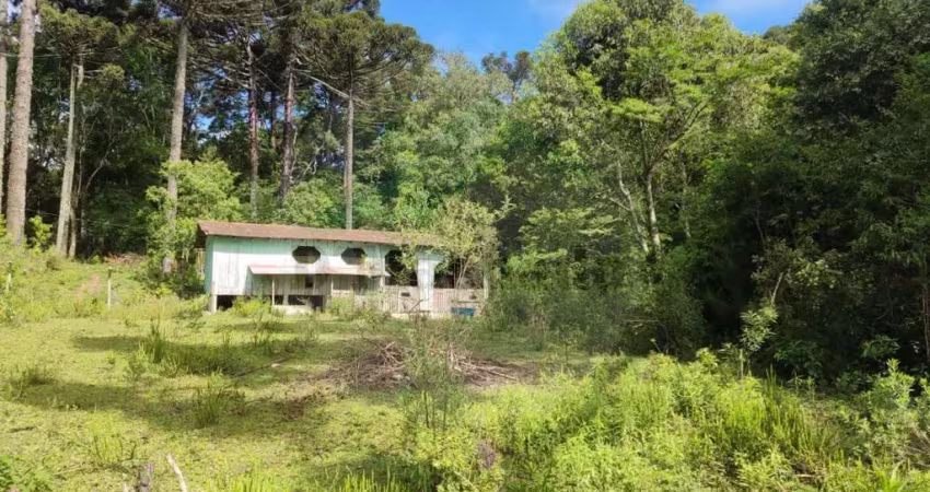Chácara / sítio à venda na Estrada dos Pereiras, Colônia Retiro, Mandirituba
