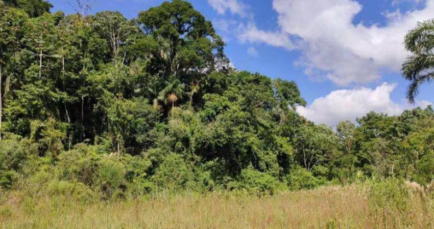 Terreno para Venda em São Bento do Sul, Rio Mandióca