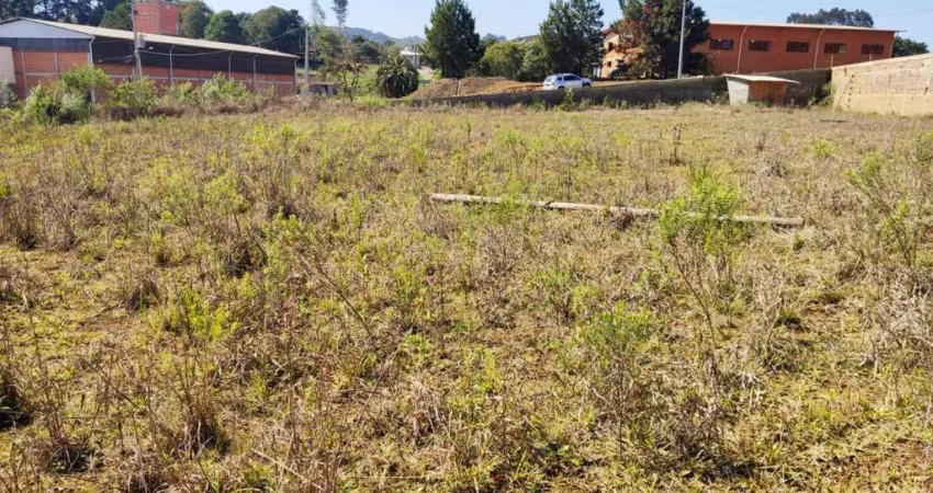 Terreno para Venda em São Bento do Sul, Centenário