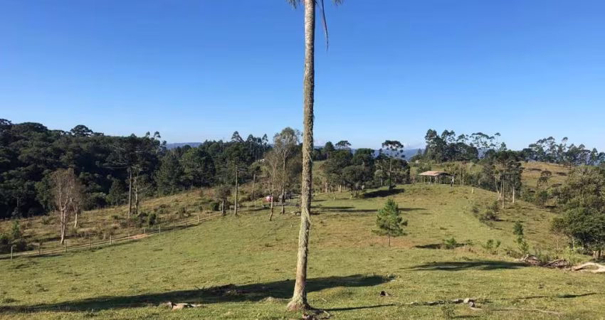 Terreno para Venda em São Bento do Sul, Serra Alta