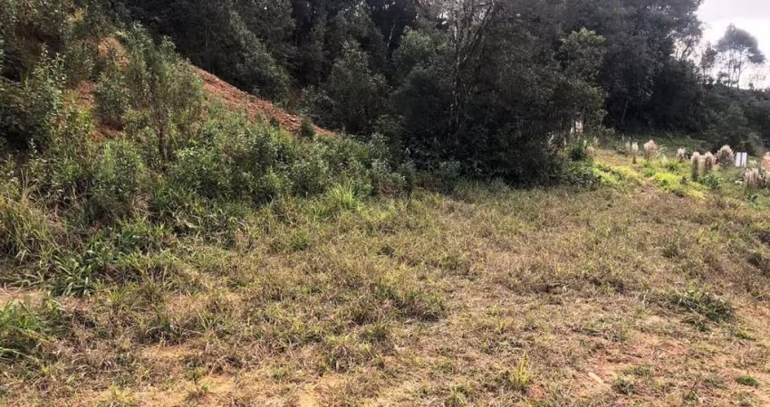 Terreno para Venda em São Bento do Sul, Rio Vermelho Estação