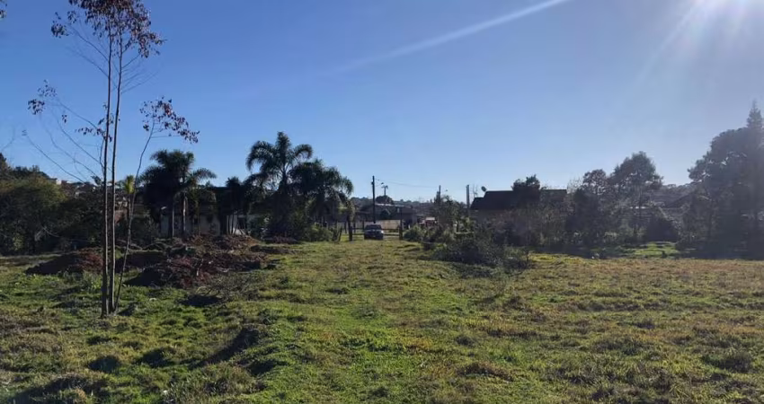 Terreno para Venda em São Bento do Sul, Serra Alta