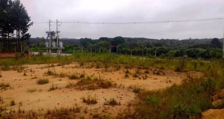 Terreno para Venda em São Bento do Sul, Lençol