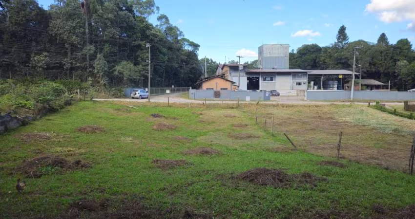 Terreno para Venda em São Bento do Sul, Dona Francisca