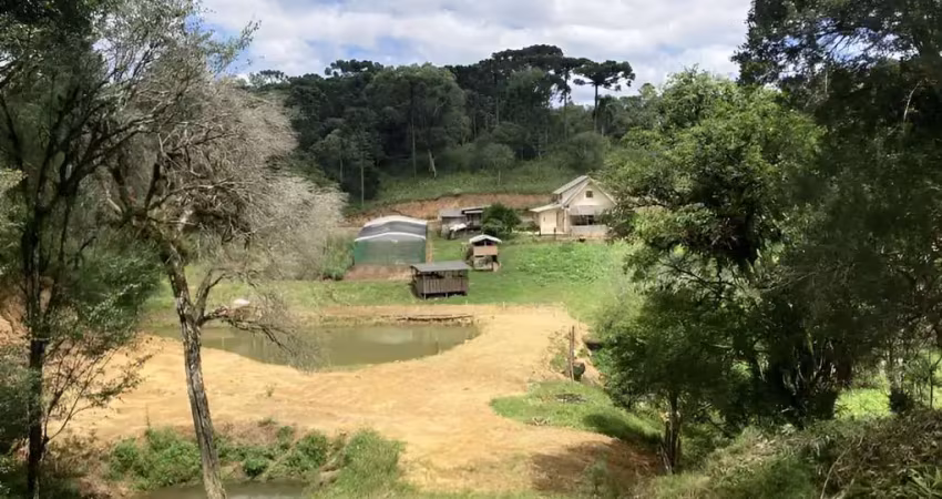 Chácara para venda em são bento do sul, lençol, 3 dormitórios, 1 banheiro, 1 vaga