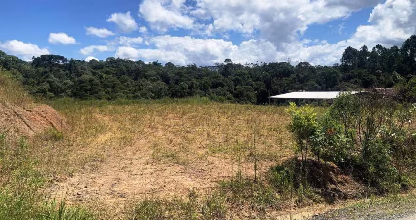 Terreno para Venda em São Bento do Sul, Serra Alta