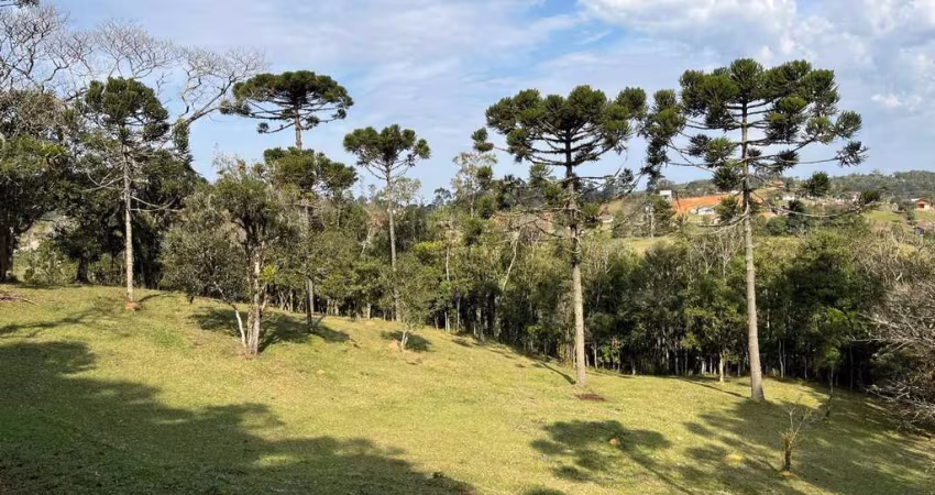Terreno para Venda em São Bento do Sul, Rio Vermelho Estação
