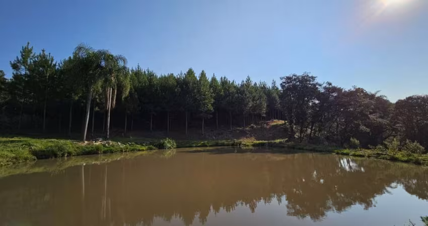 Terreno para Venda em Campo Alegre, Bateias de Baixo