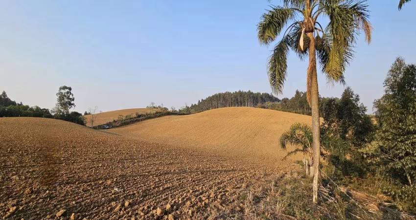 Terreno para Venda em Campo Alegre, Bateias de Cima