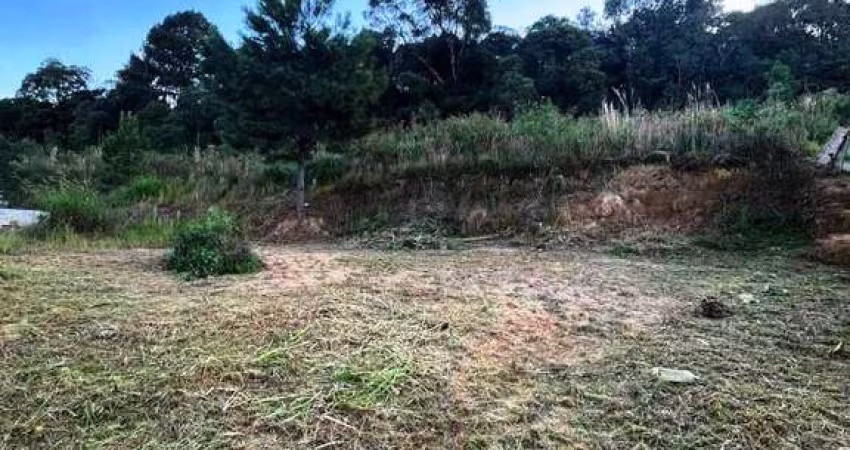 Terreno para Venda em São Bento do Sul, Alpino
