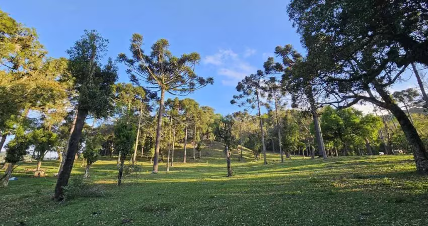 Terreno à venda no Brasilia, São Bento do Sul 