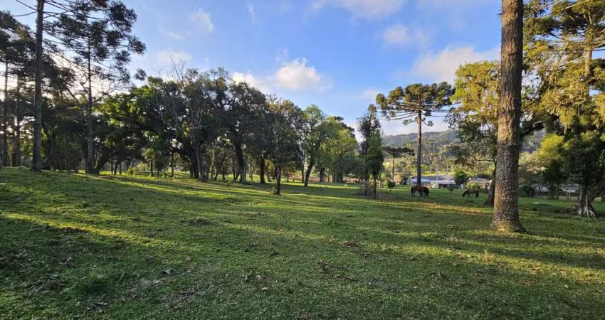 Terreno para Venda em São Bento do Sul, Brasilia