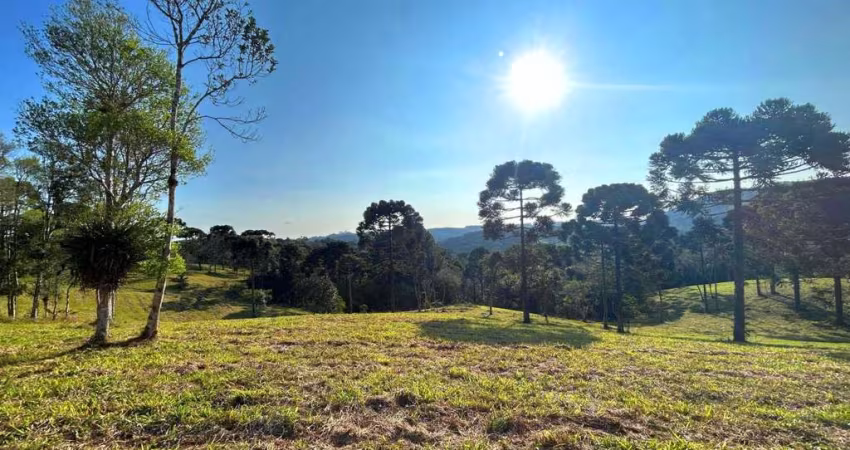 Terreno para Venda em São Bento do Sul, Rio Vermelho Povoado
