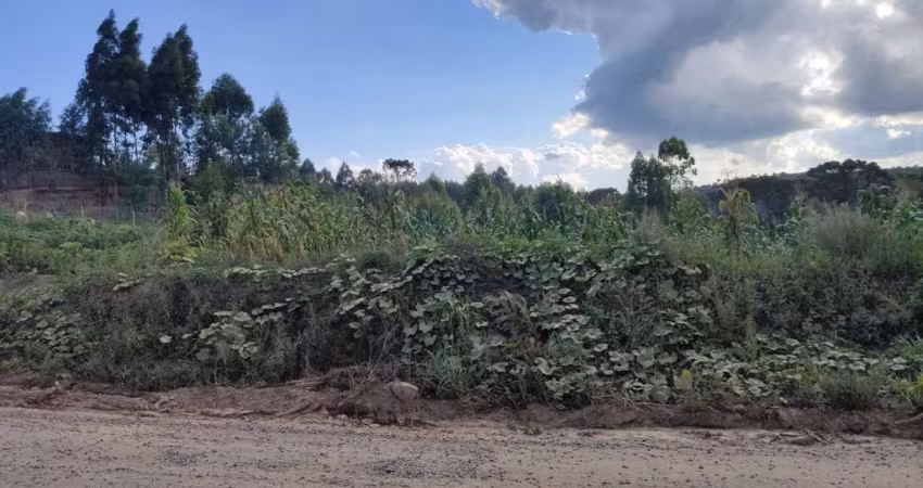 Terreno para Venda em Rio Negrinho, São Pedro