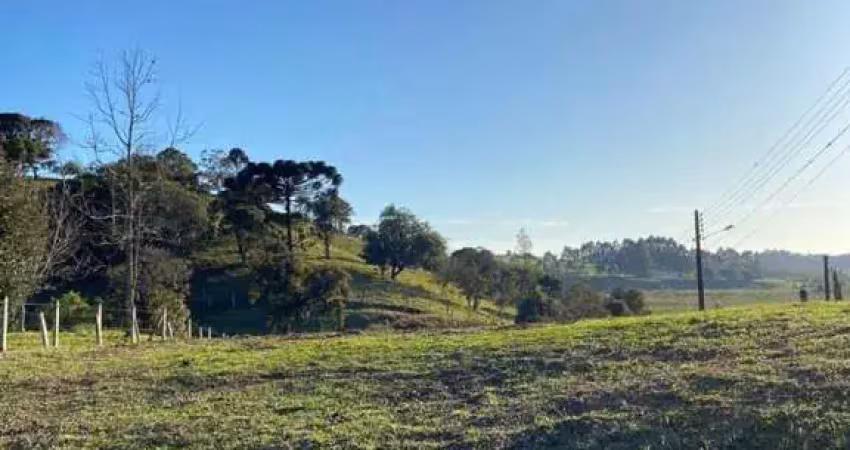 Terreno para venda em são bento do sul, rio vermelho estação