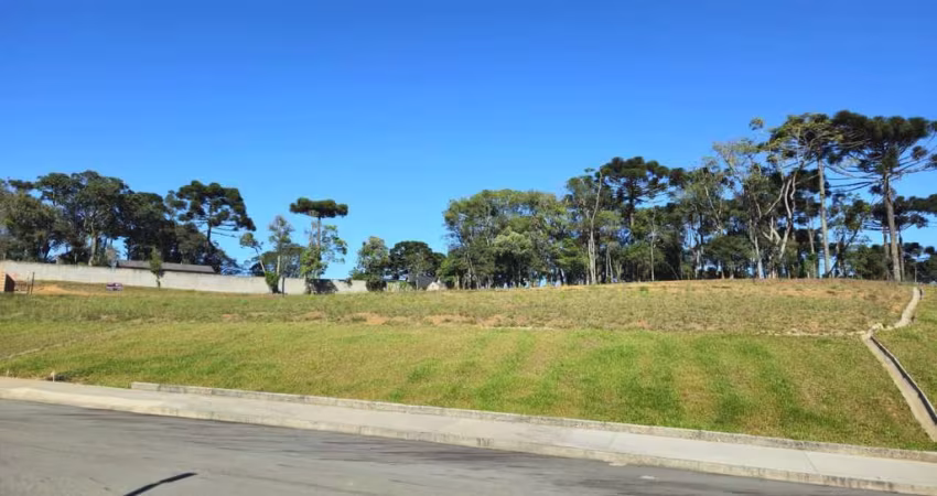Terreno para Venda em São Bento do Sul, Brasilia