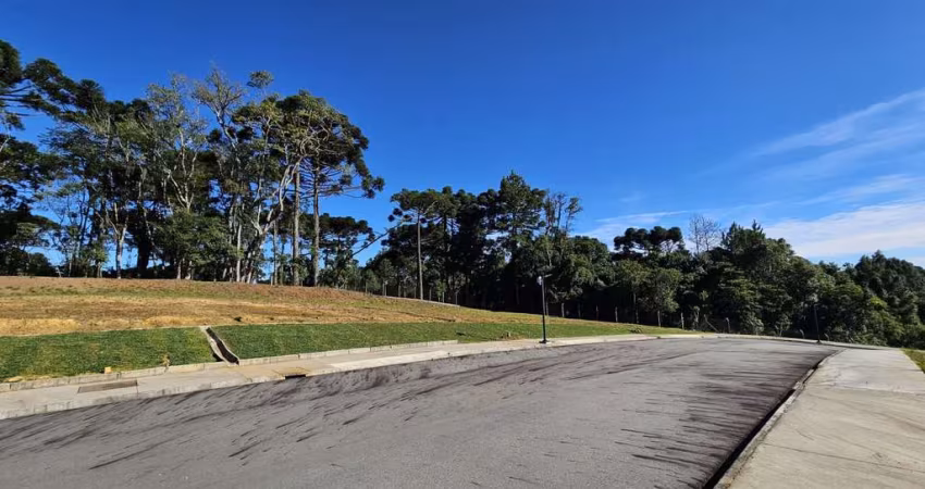 Terreno para Venda em São Bento do Sul, Brasilia