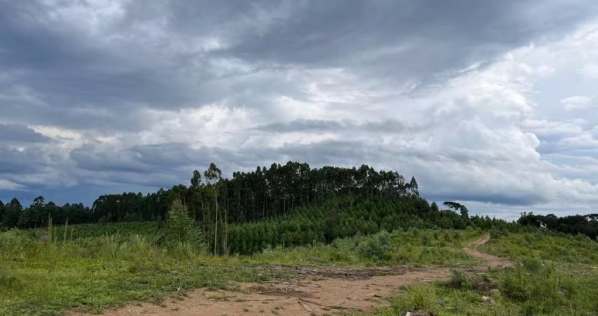 Terreno para Venda em Rio Negrinho, Volta Grande