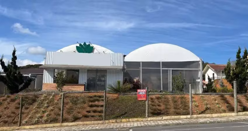 Terreno comercial para alugar na Rua Alexandre Buhnemann, sn, Schramm, São Bento do Sul