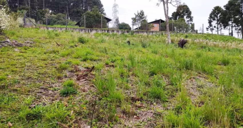 Terreno à venda na Rua João Hansen Júnior, Cascatas, Campo Alegre