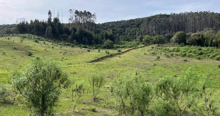 Fazenda à venda na Tijucume, sn, Tijucume, Campo Alegre