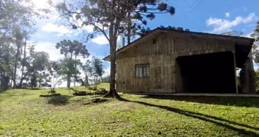 Chácara para venda em campo alegre, avenquinha, 2 dormitórios, 1 banheiro