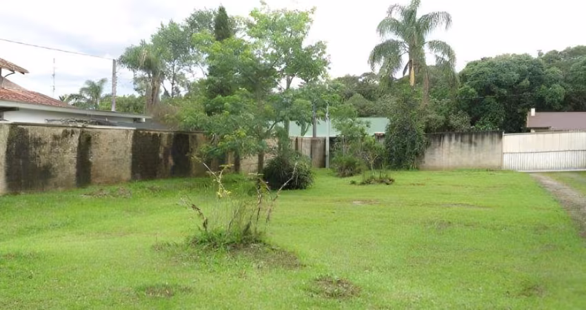 Terreno para Venda em São Bento do Sul, Centro