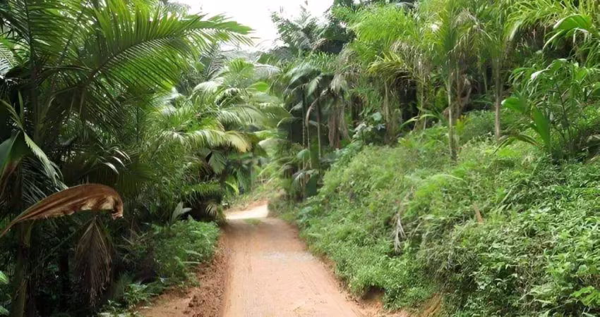 Terreno à venda na Estrada Quiriri, Pirabeiraba, Joinville
