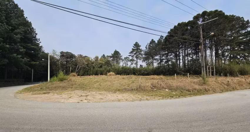 Terreno à venda na Rua Oscar Hinke, Lençol, São Bento do Sul
