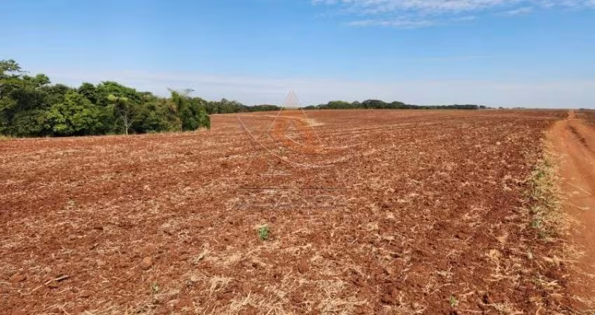 Fazenda  - São Carlos - Zona Rural