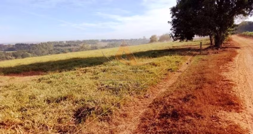 Fazenda  - Casa Branca - Zona Rural