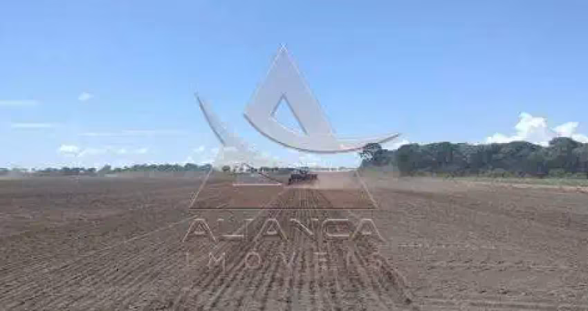 Fazenda à venda na Zona Rural, Santa Fé do Araguaia 