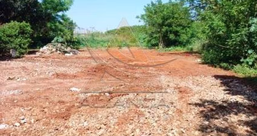 Terreno - Ribeirão Preto - Geraldo Correia de Carvalho