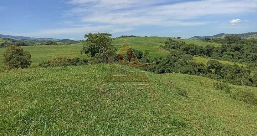 Fazenda  - Itapira - Zona Rural
