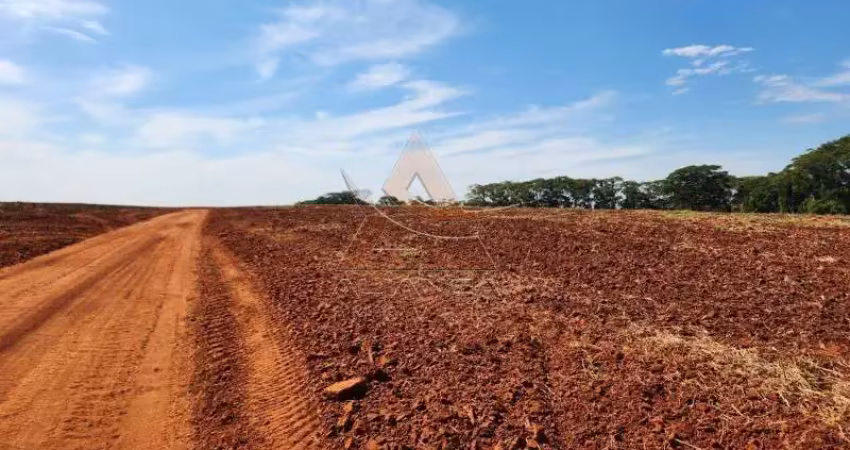 Fazenda à venda na Zona Rural, Ribeirão Bonito 