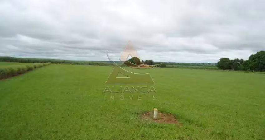 Fazenda à venda na Zona Rural, Rancharia 