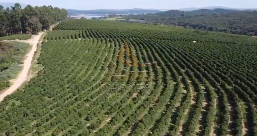 Fazenda  - Boa Esperança  - Zona Rural