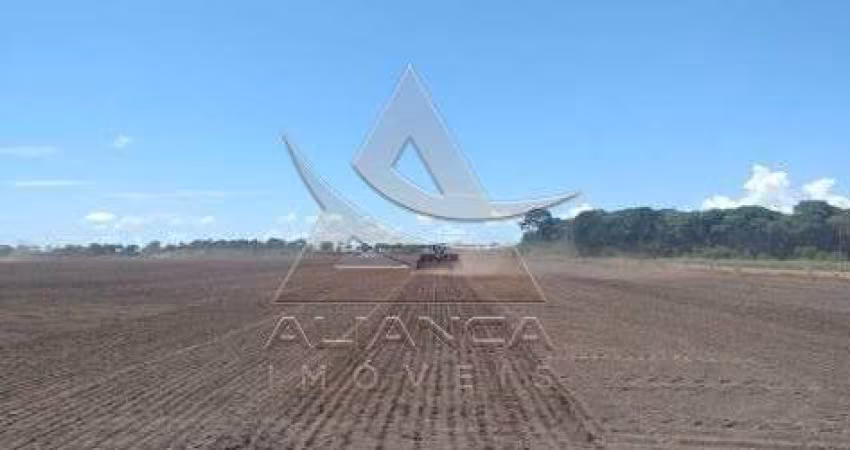 Fazenda  - Formoso do Araguaia - Zona Rural