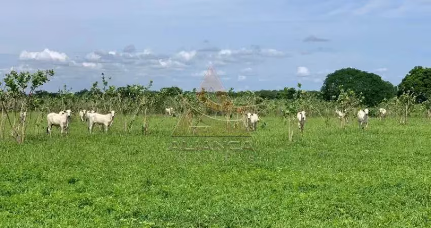 Fazenda à venda na Zona Rural, Jaíba 