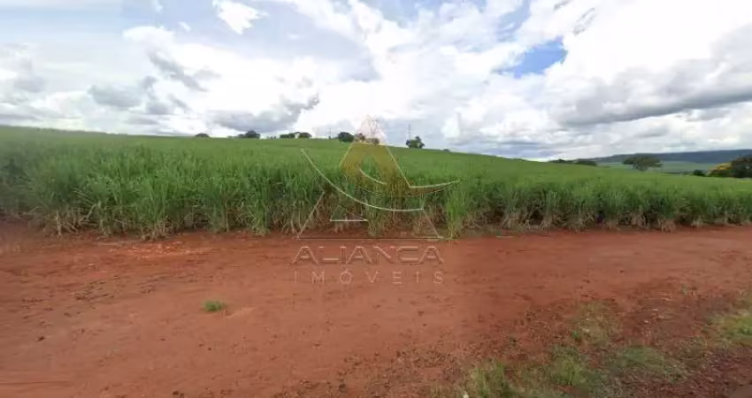 Fazenda à venda na Zona Rural, Cravinhos 